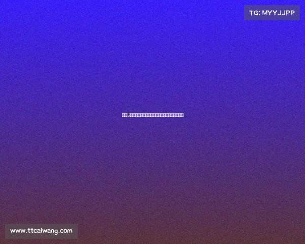 搏击B级赛事热血征程勇者无畏擂台争锋铸就辉煌篇章